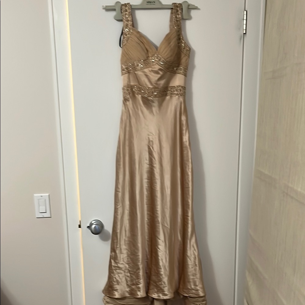DUSK collection beige beaded Sweetheart silk Maxi Down  Dress size 4
